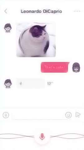 ddos流量攻击购买软件程序维护界面